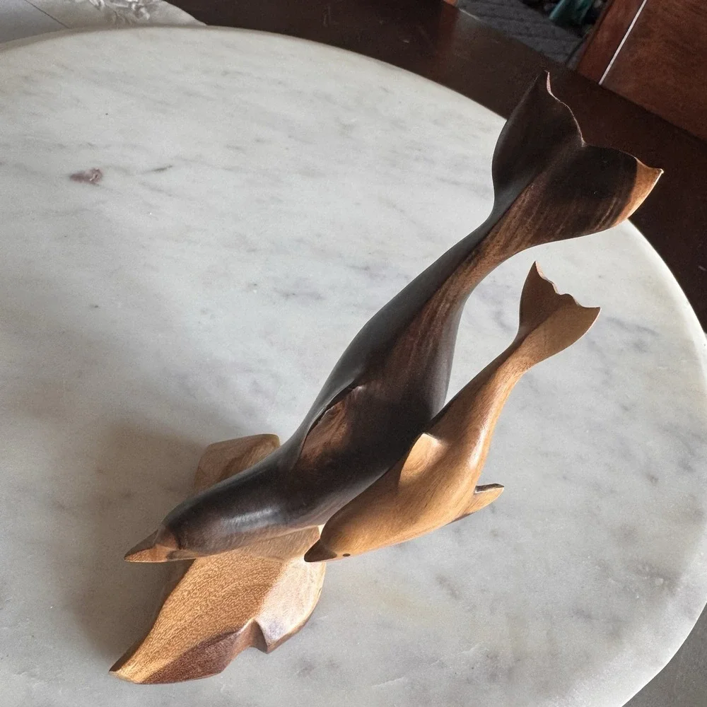 Beautiful Dolphins 7